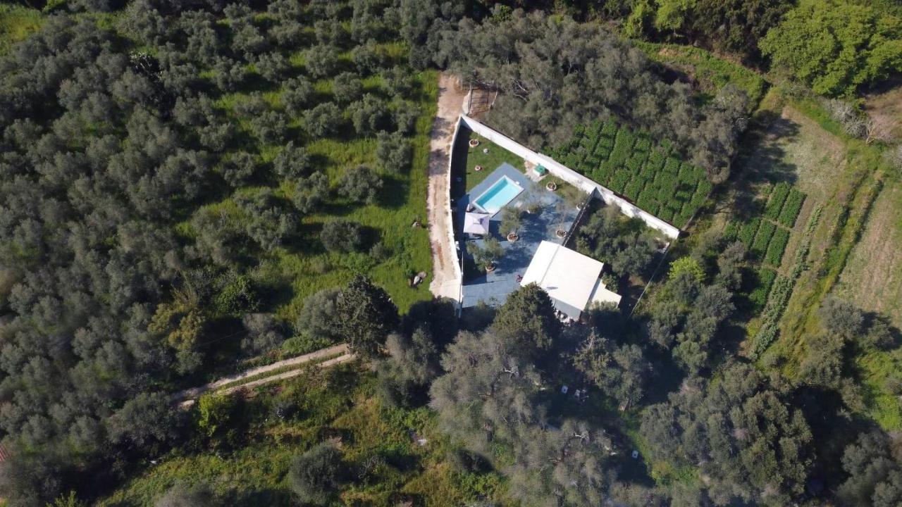 Villa Gardiki For2 Halikounas Bagian luar foto